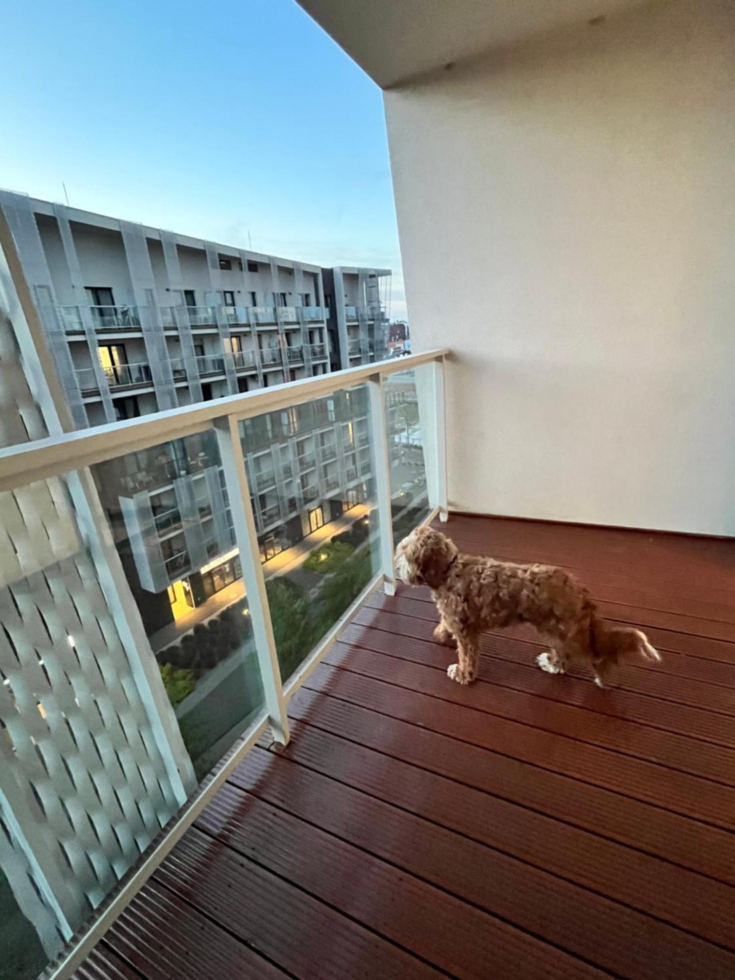 Family House By The River Odra -Panoramic Terrace - 3Room Apartment With 2 Separate Bedrooms And 2 Balconies By Wroapart-Pl- Perfect For Family & Business Stays Вроцлав Екстериор снимка